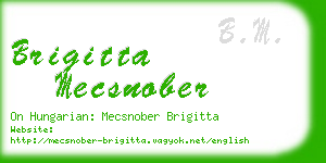 brigitta mecsnober business card